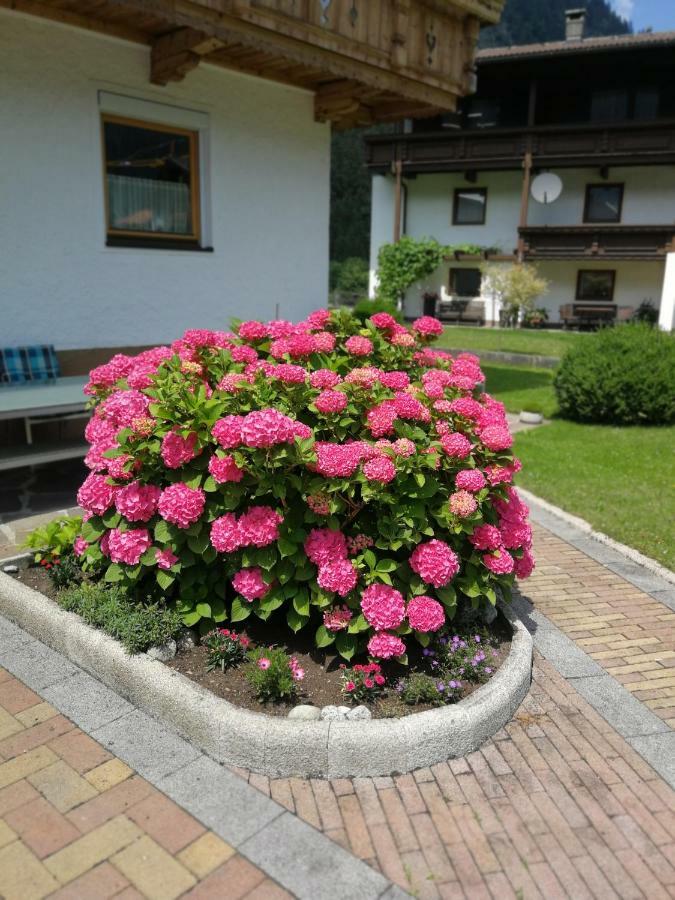 ホテル Haus Wildauer マイヤーホーフェン エクステリア 写真